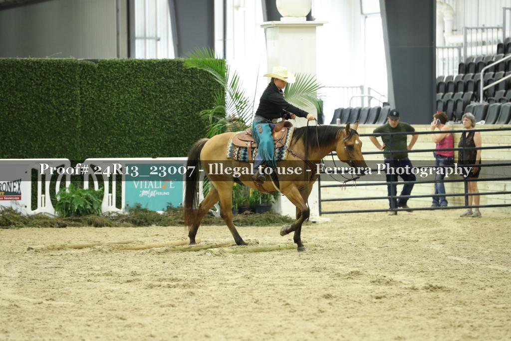 Proof Number 24R13_23007