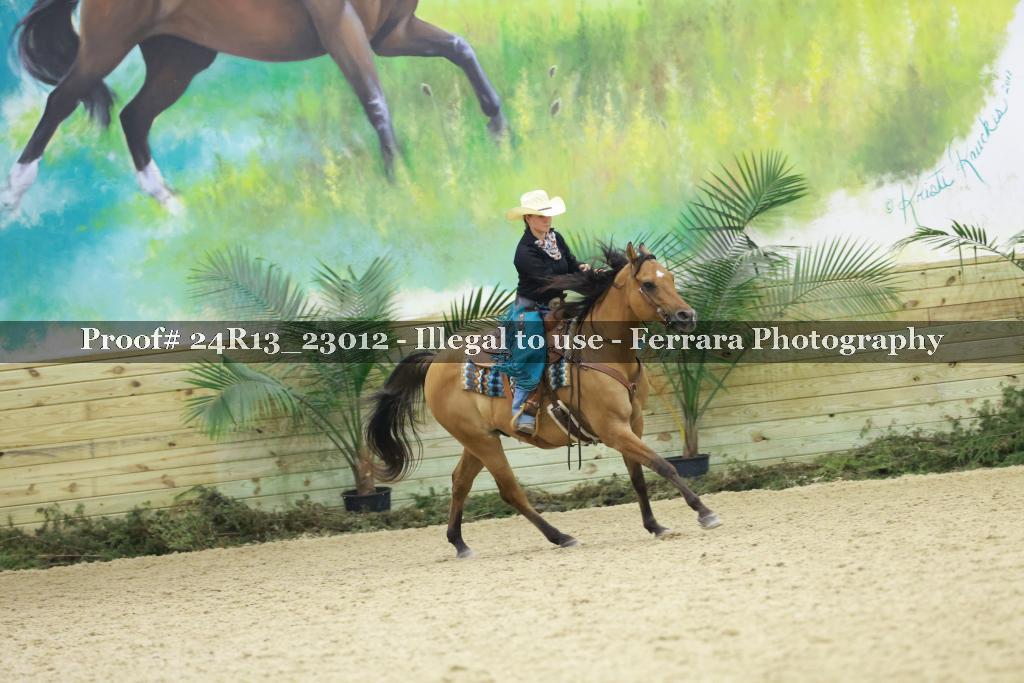 Proof Number 24R13_23012