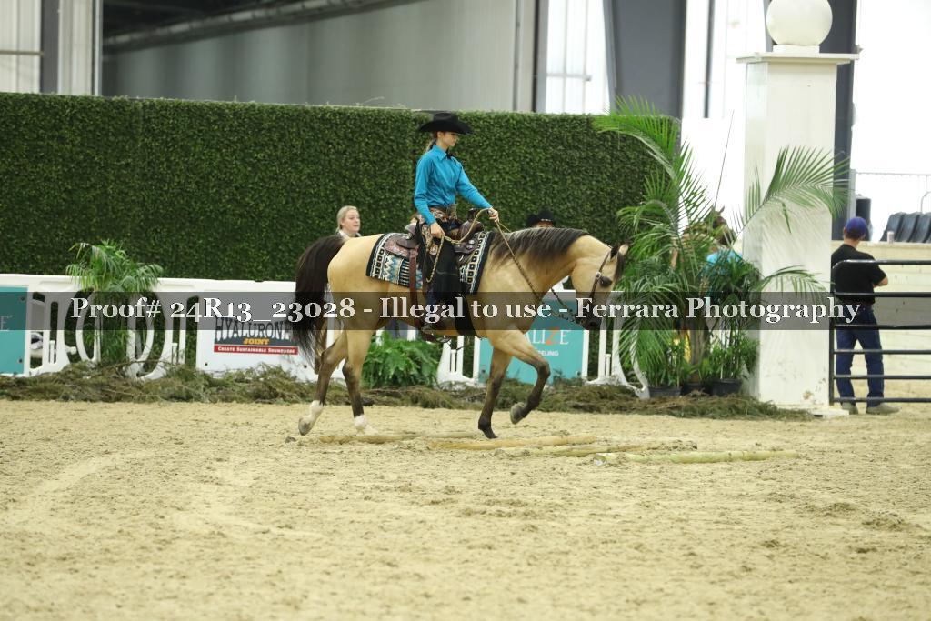 Proof Number 24R13_23028