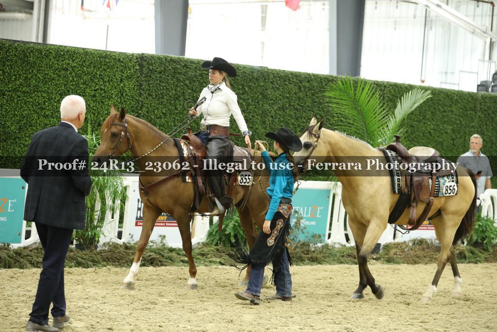 Proof Number 24R13_23062