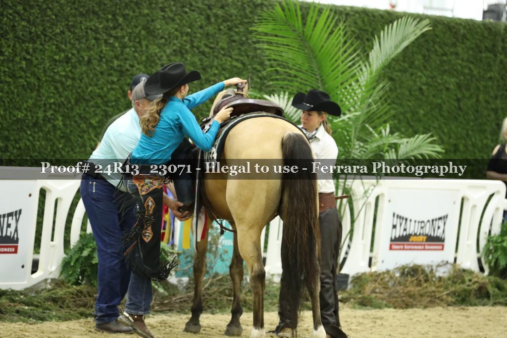 Proof Number 24R13_23071