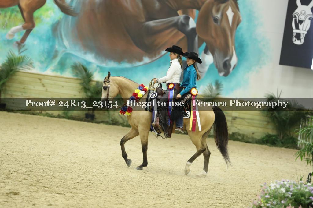 Proof Number 24R13_23154