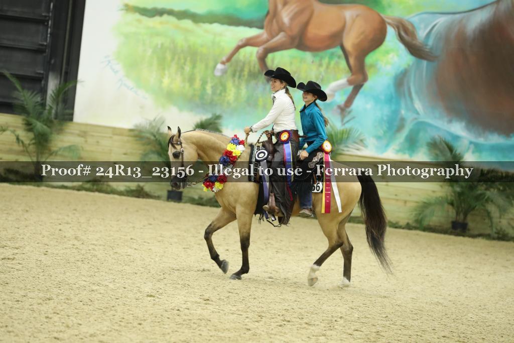 Proof Number 24R13_23156