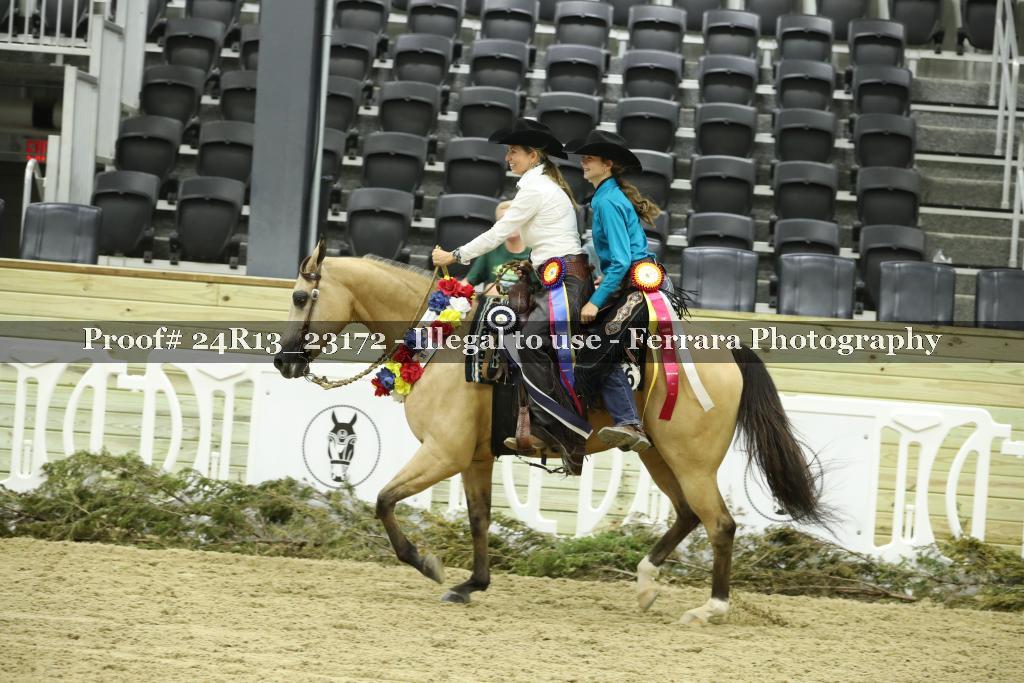 Proof Number 24R13_23172