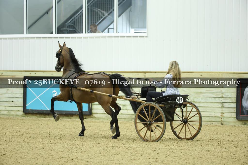 Proof Number 25BUCKEYE_07619