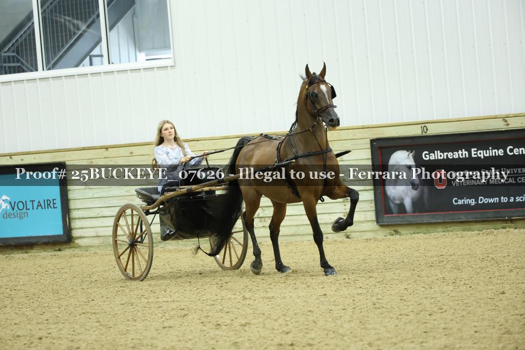 Proof Number 25BUCKEYE_07626