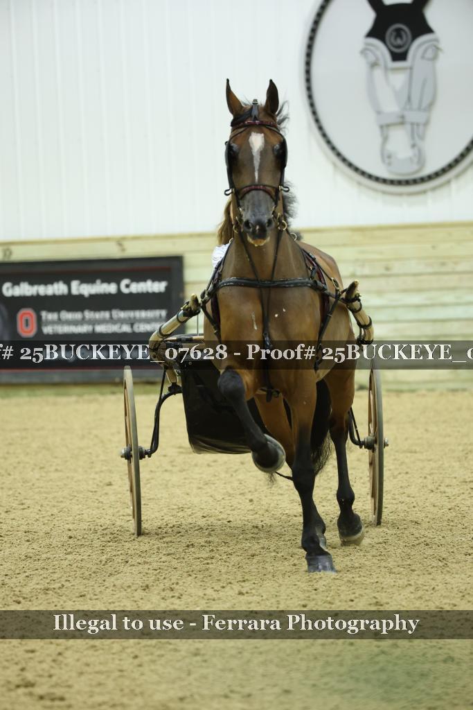 Proof Number 25BUCKEYE_07628