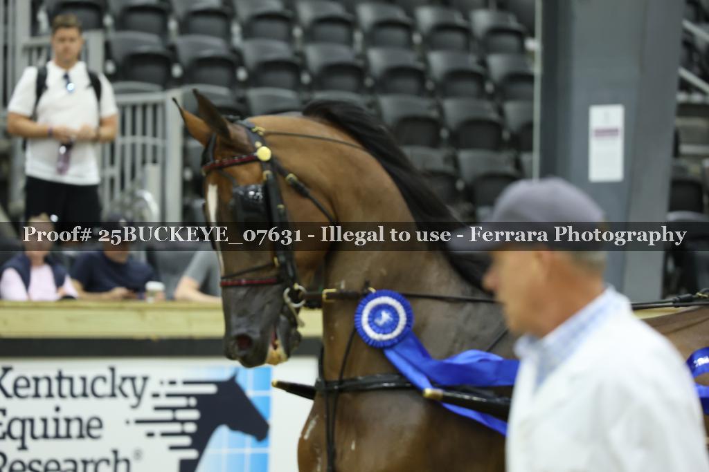 Proof Number 25BUCKEYE_07631