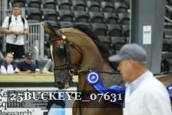 25BUCKEYE_07631 thumbnail