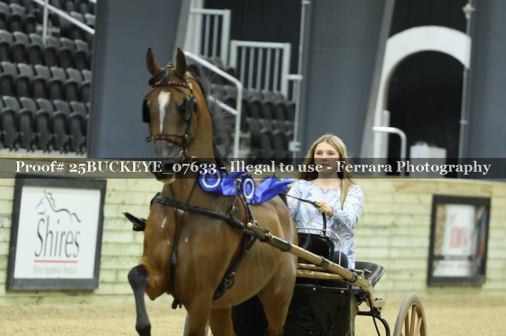 Proof Number 25BUCKEYE_07633