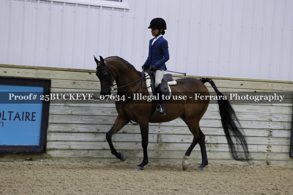 Proof Number 25BUCKEYE_07634