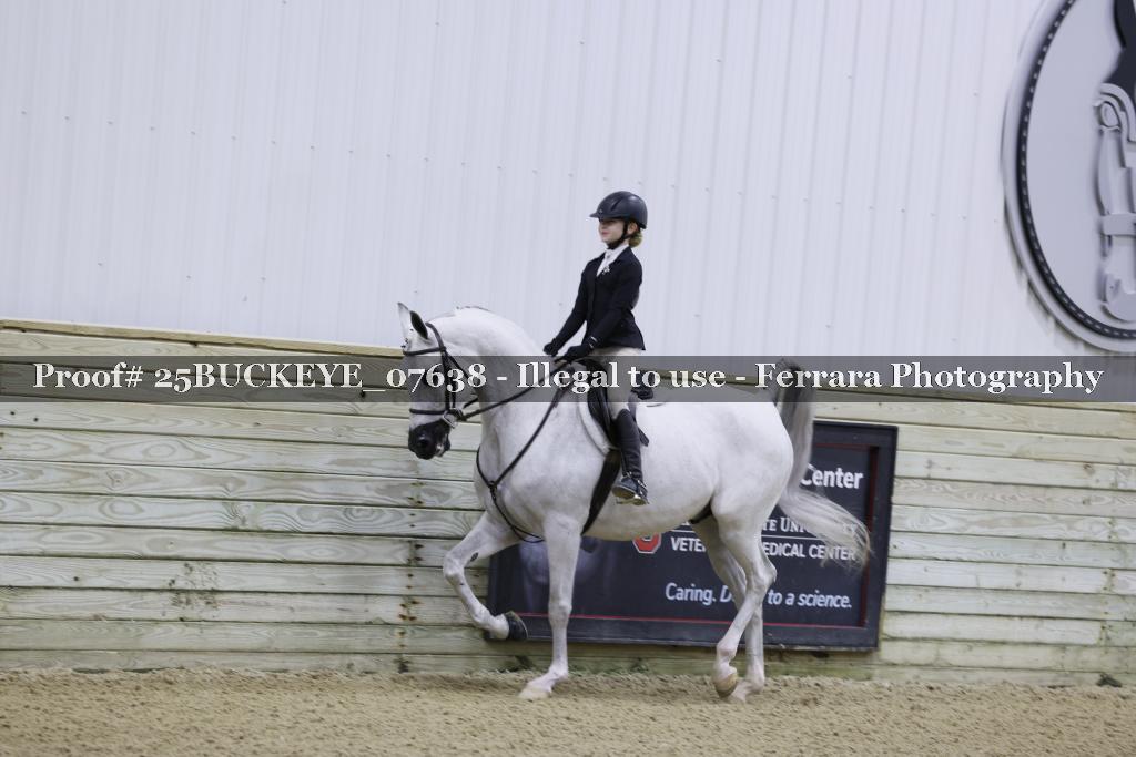 Proof Number 25BUCKEYE_07638