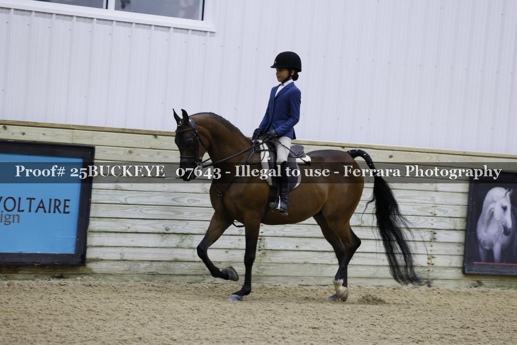 Proof Number 25BUCKEYE_07643