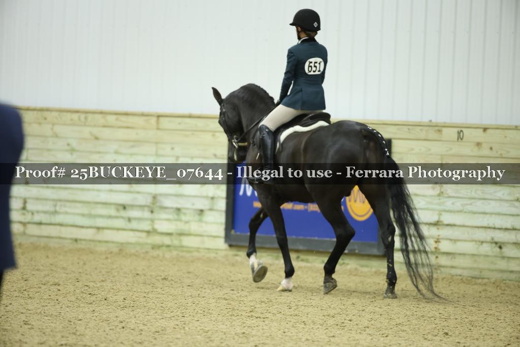 Proof Number 25BUCKEYE_07644