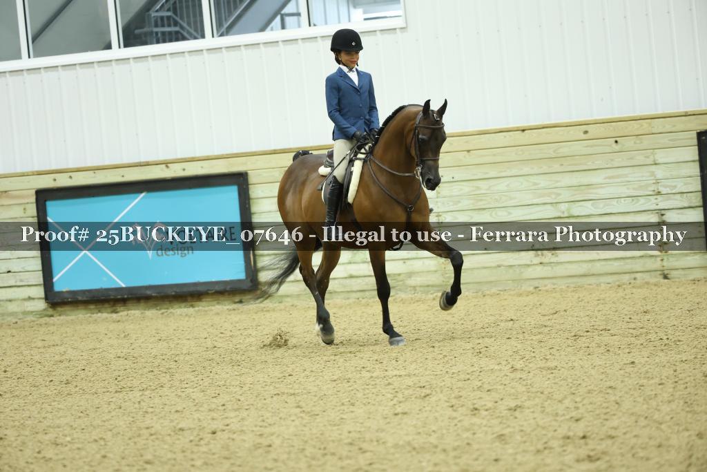 Proof Number 25BUCKEYE_07646