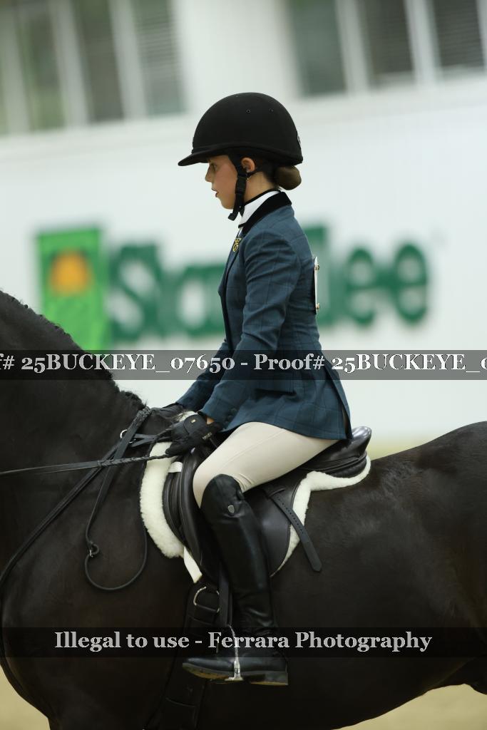 Proof Number 25BUCKEYE_07650