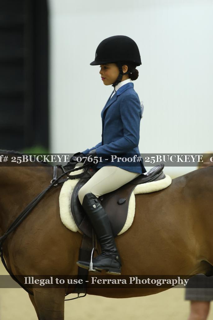 Proof Number 25BUCKEYE_07651