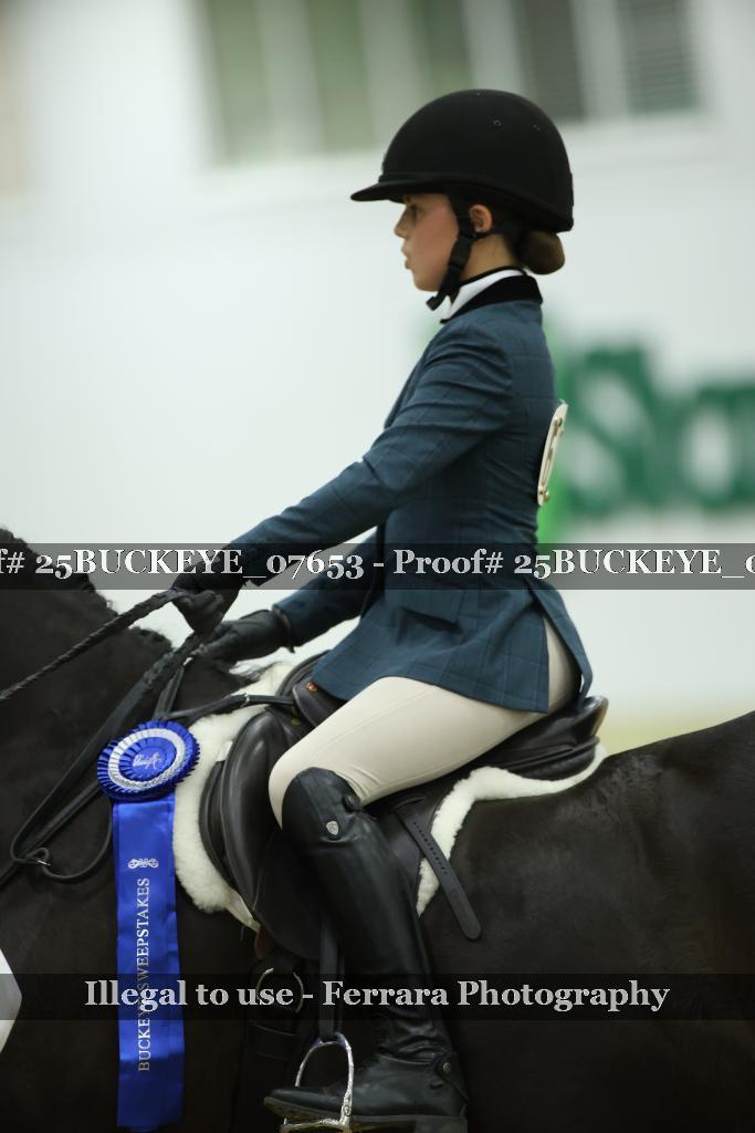 Proof Number 25BUCKEYE_07653