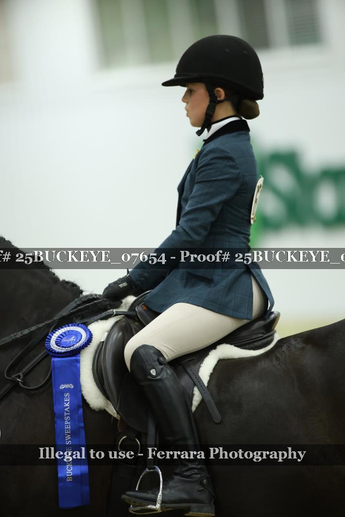 Proof Number 25BUCKEYE_07654