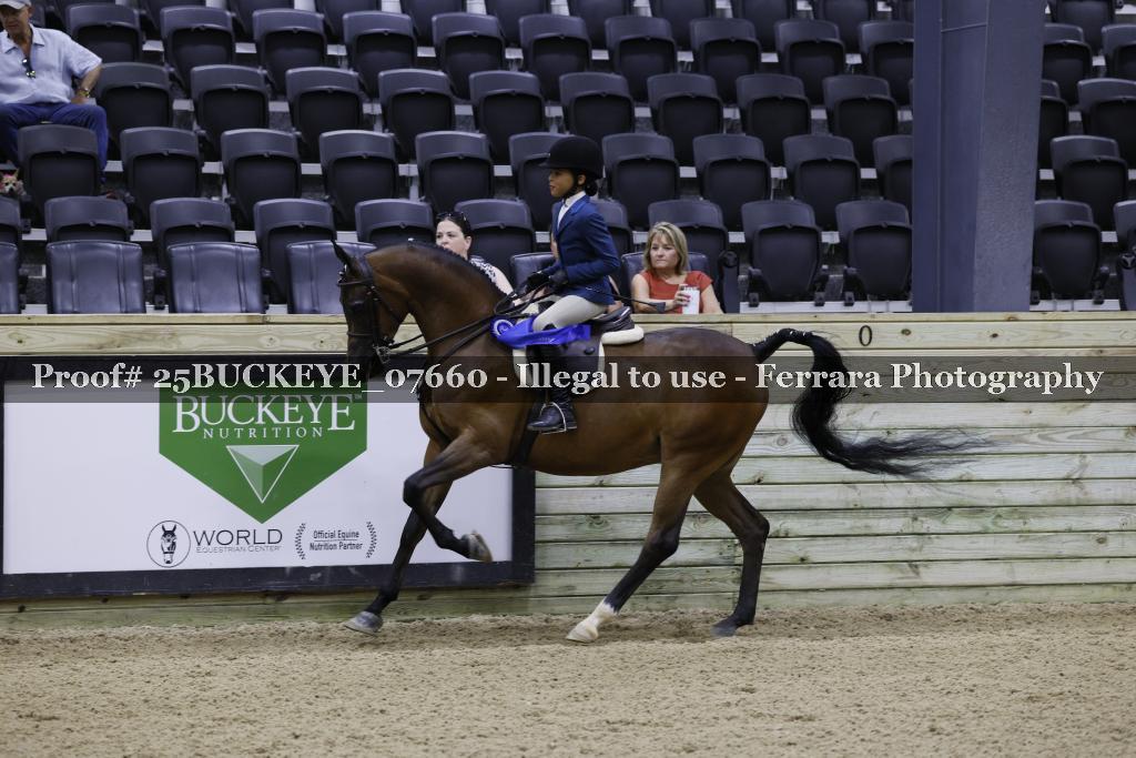 Proof Number 25BUCKEYE_07660