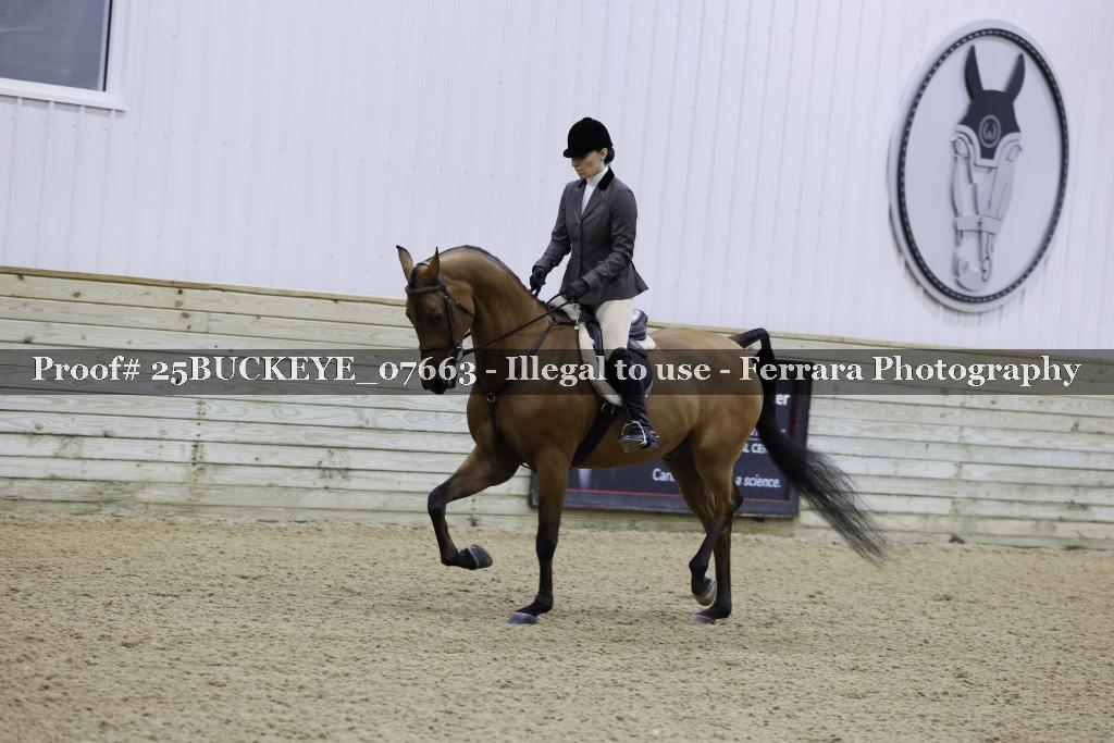 Proof Number 25BUCKEYE_07663