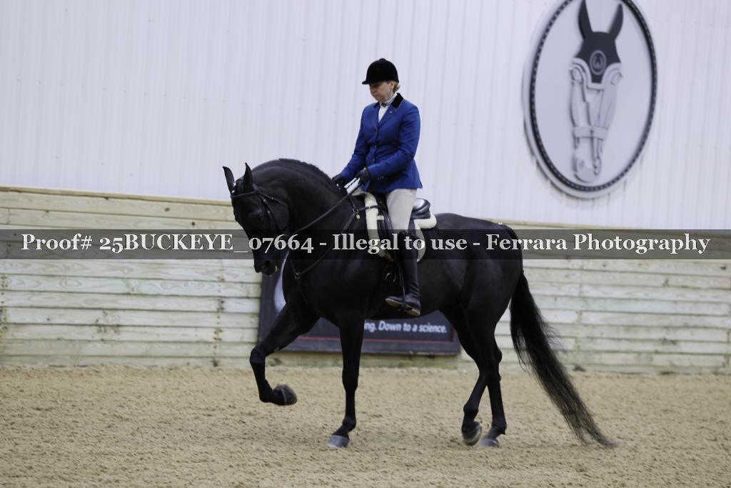 Proof Number 25BUCKEYE_07664