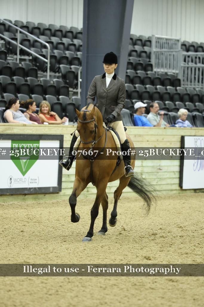 Proof Number 25BUCKEYE_07667