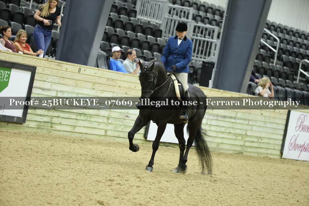 Proof Number 25BUCKEYE_07669