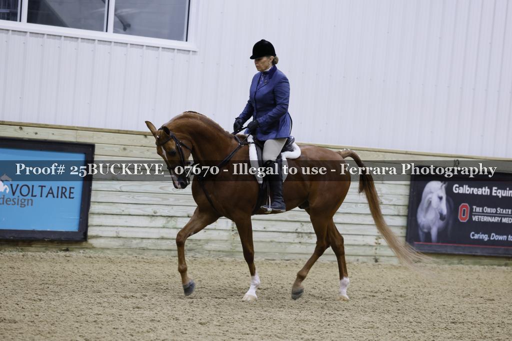 Proof Number 25BUCKEYE_07670