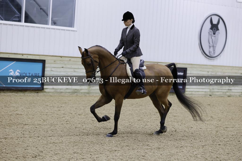 Proof Number 25BUCKEYE_07673