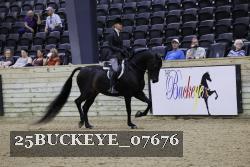 25BUCKEYE_07676 thumbnail