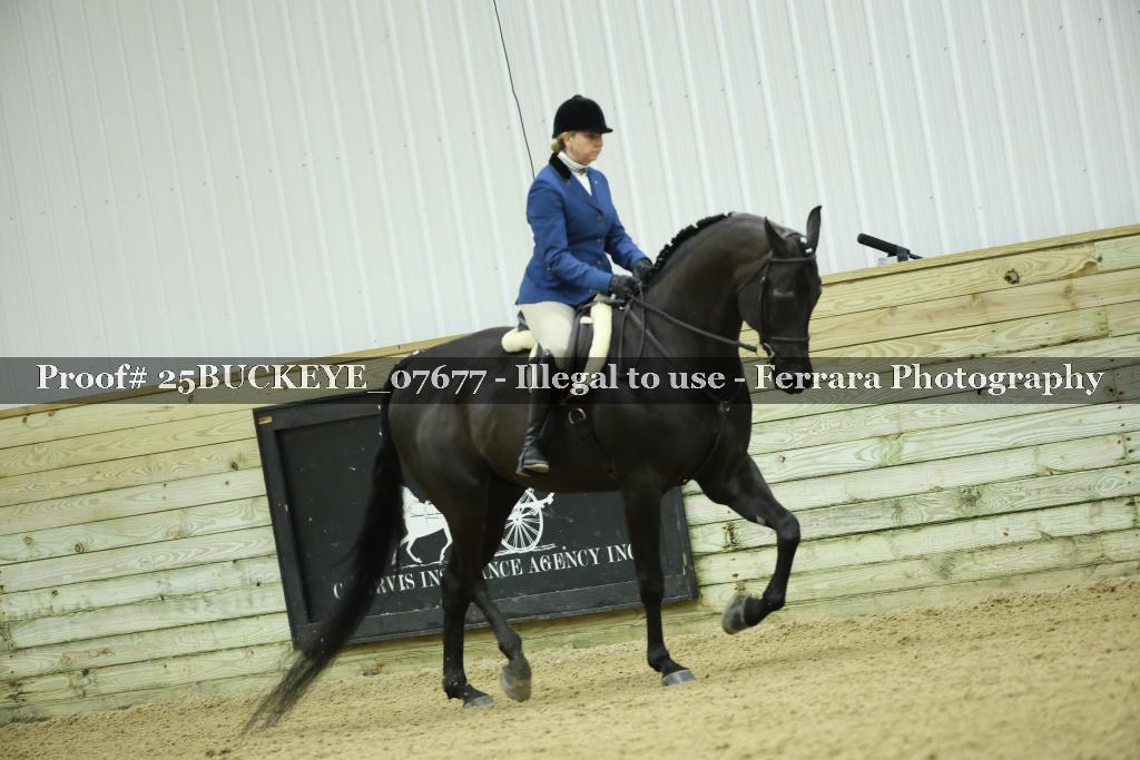 Proof Number 25BUCKEYE_07677