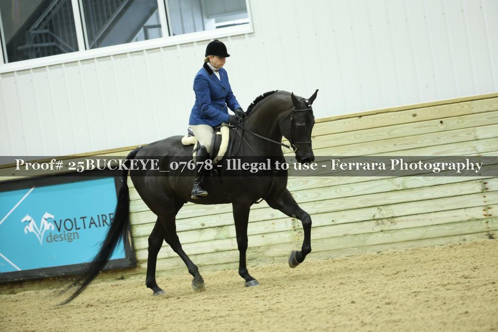 Proof Number 25BUCKEYE_07678