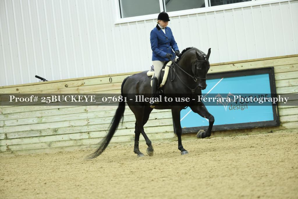 Proof Number 25BUCKEYE_07681