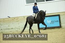 25BUCKEYE_07681 thumbnail