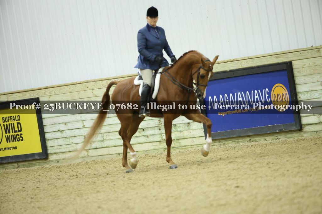 Proof Number 25BUCKEYE_07682