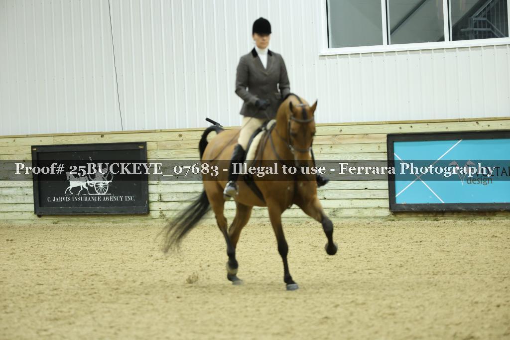 Proof Number 25BUCKEYE_07683