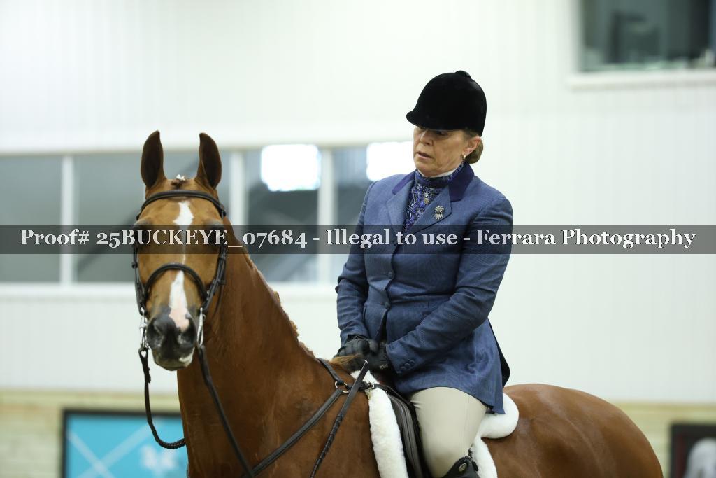 Proof Number 25BUCKEYE_07684