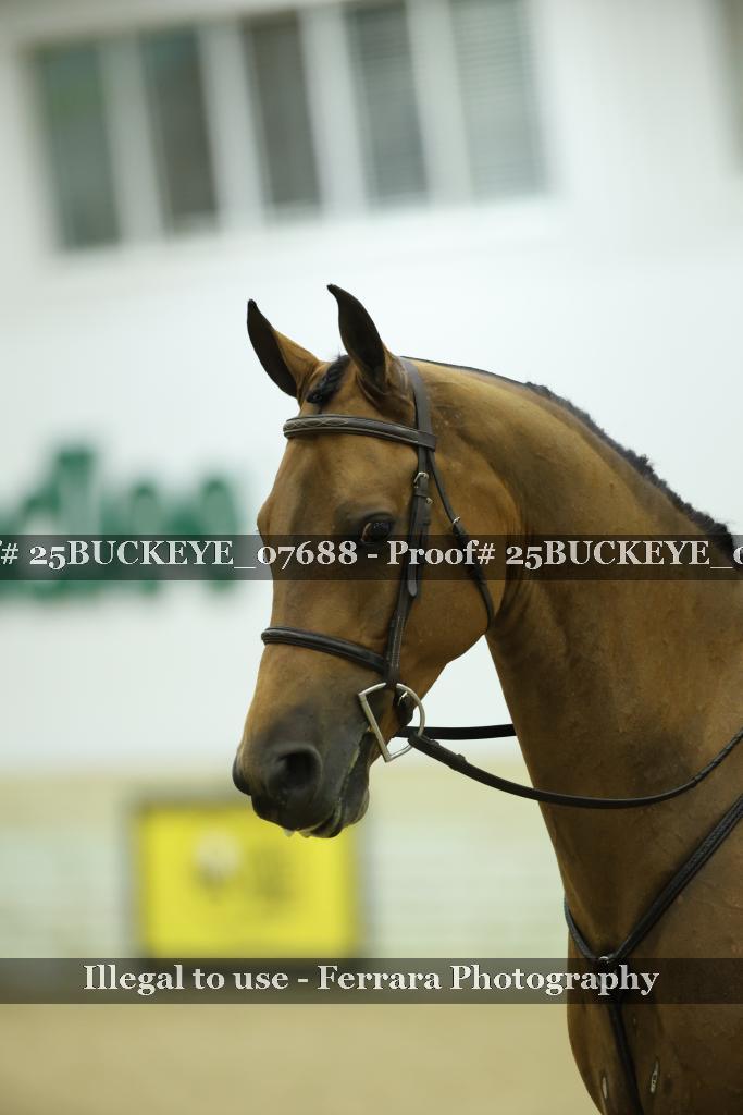 Proof Number 25BUCKEYE_07688