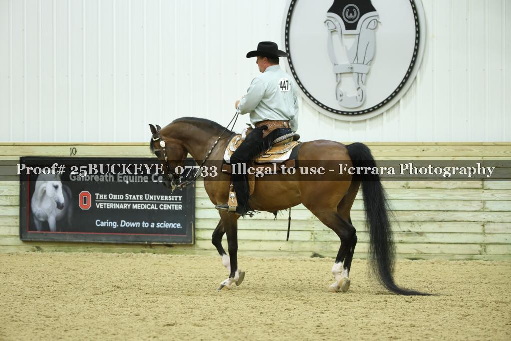 Proof Number 25BUCKEYE_07733