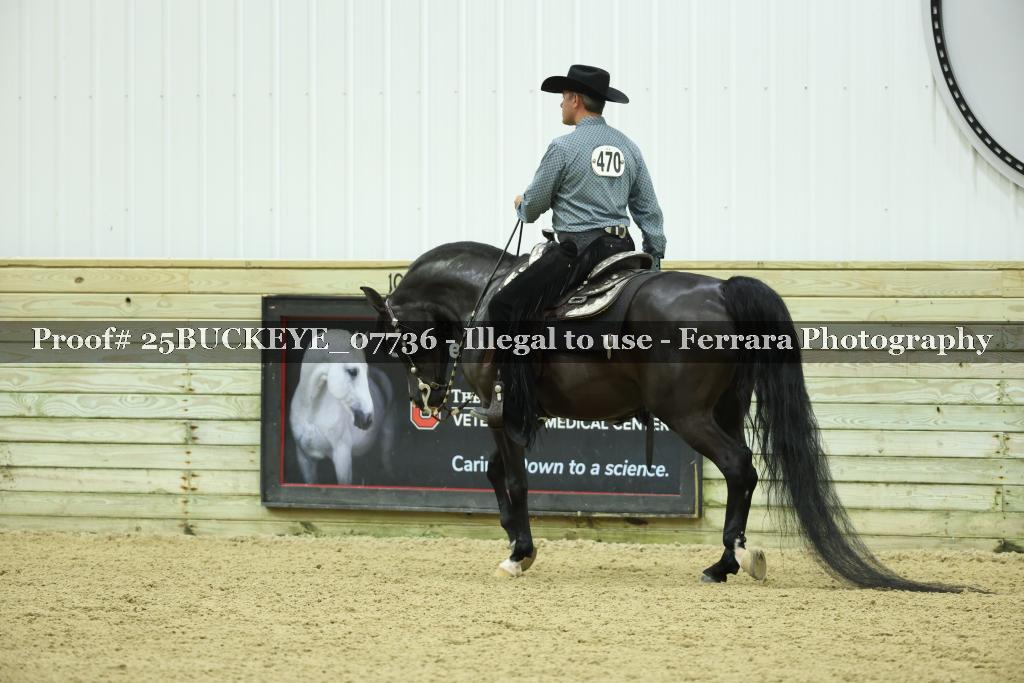 Proof Number 25BUCKEYE_07736