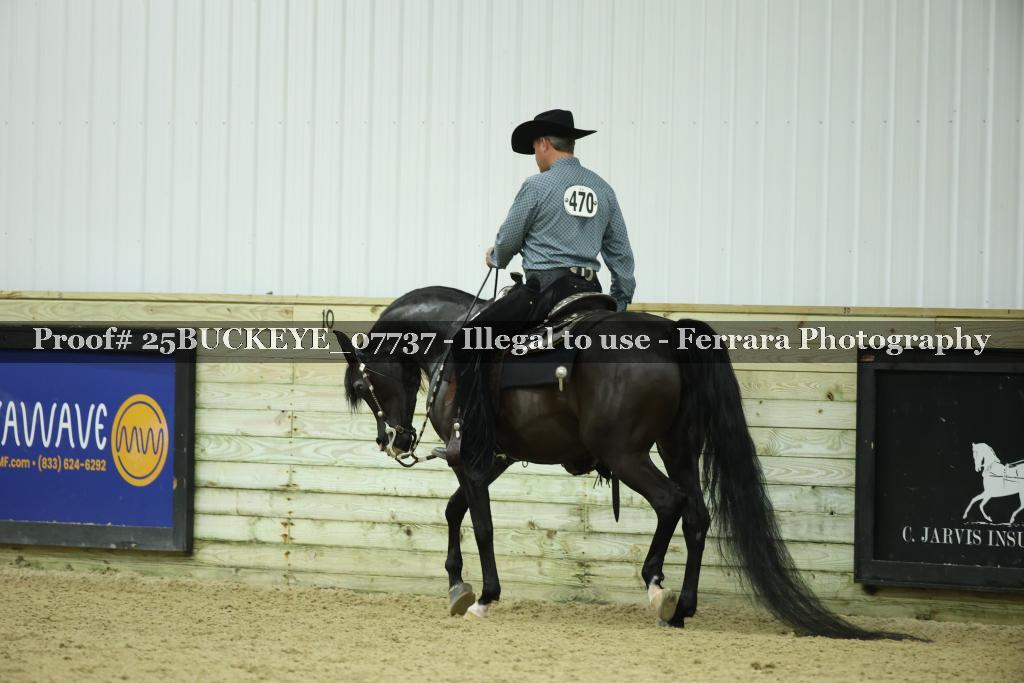 Proof Number 25BUCKEYE_07737