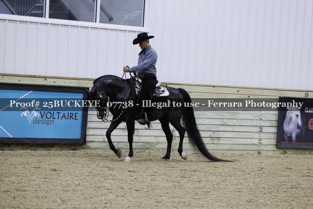 Proof Number 25BUCKEYE_07738