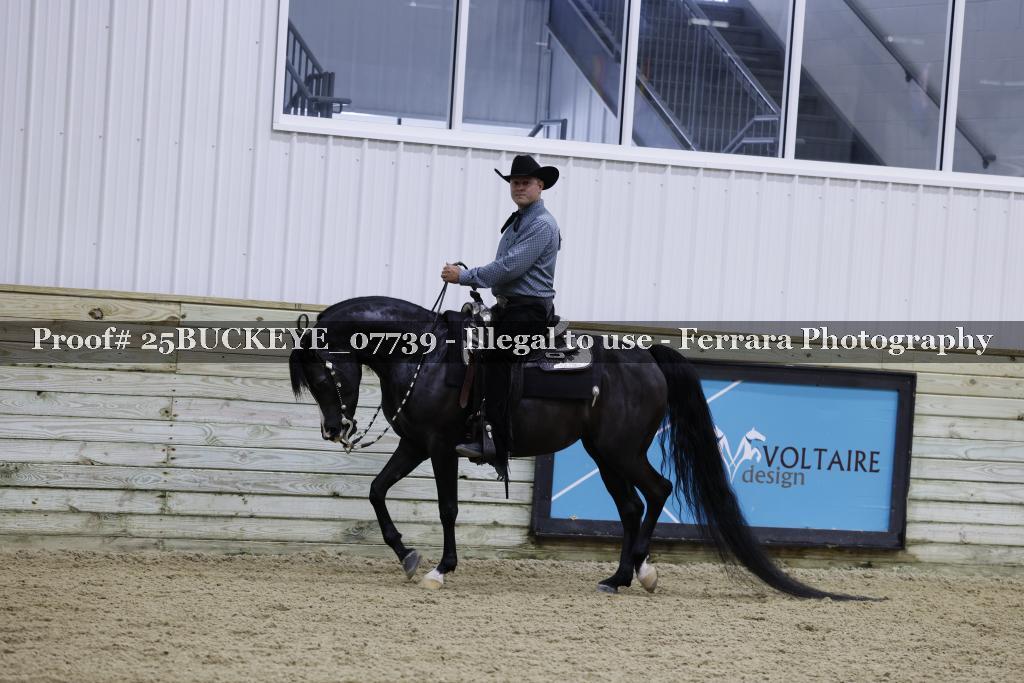 Proof Number 25BUCKEYE_07739