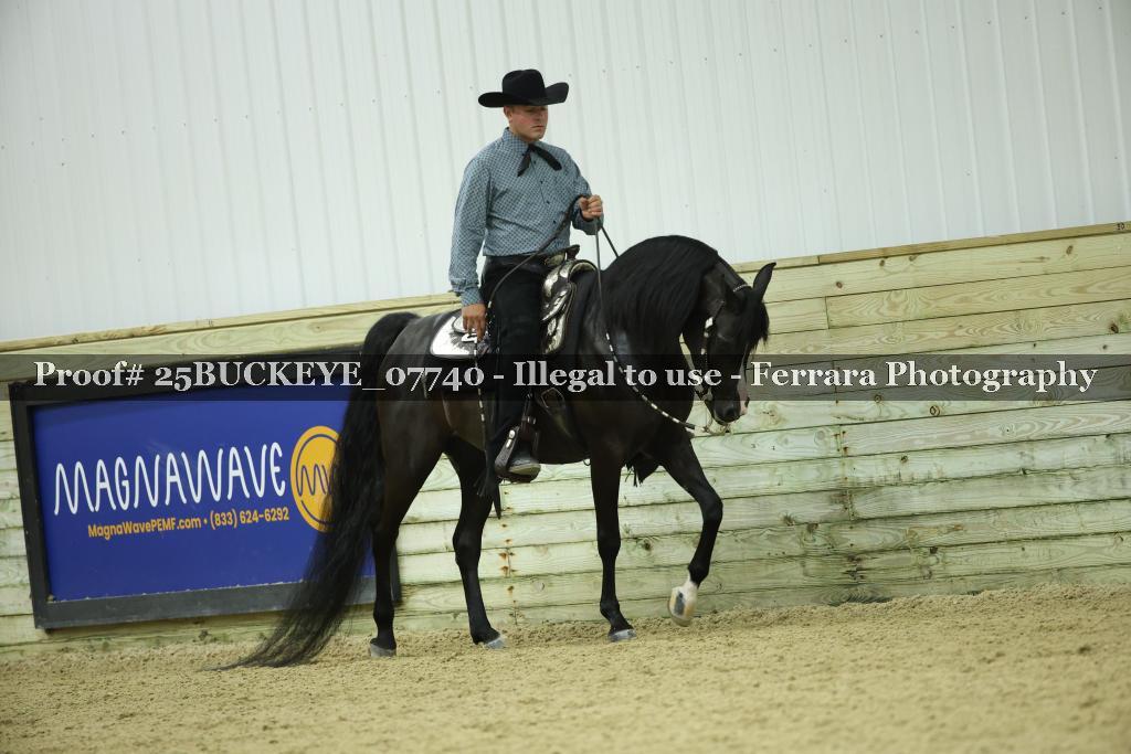 Proof Number 25BUCKEYE_07740