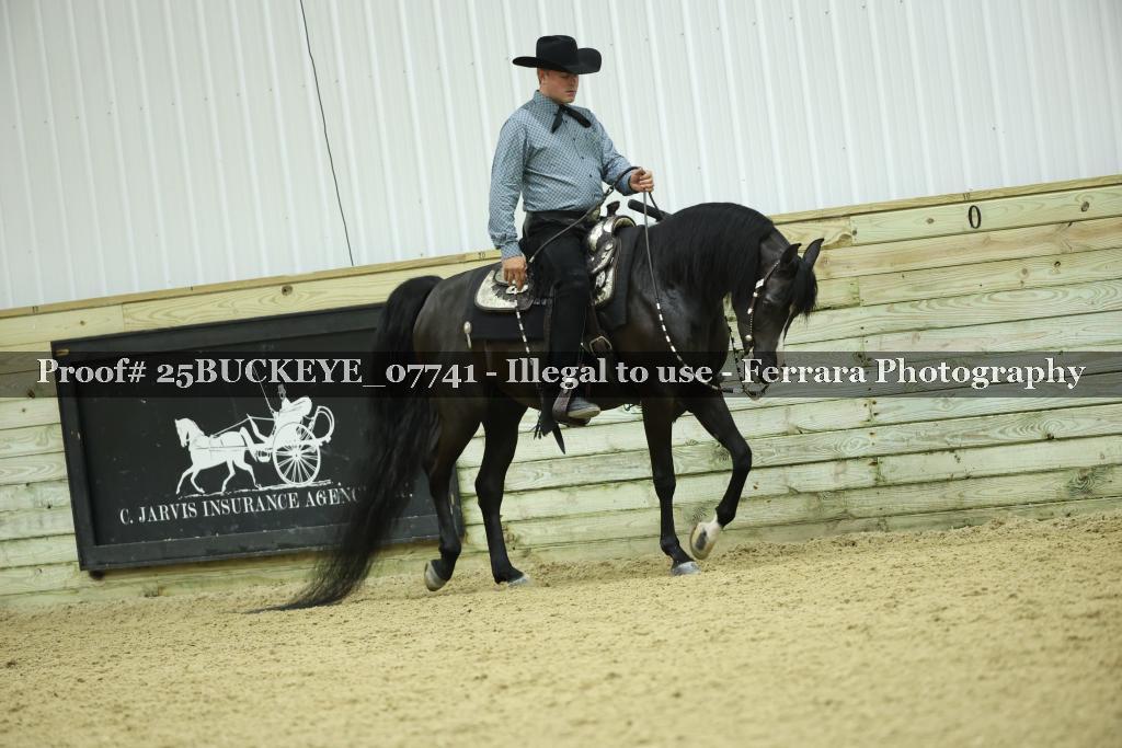 Proof Number 25BUCKEYE_07741