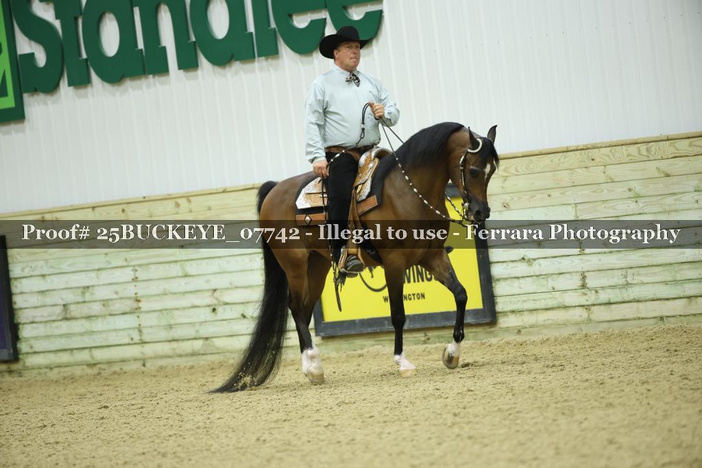 Proof Number 25BUCKEYE_07742