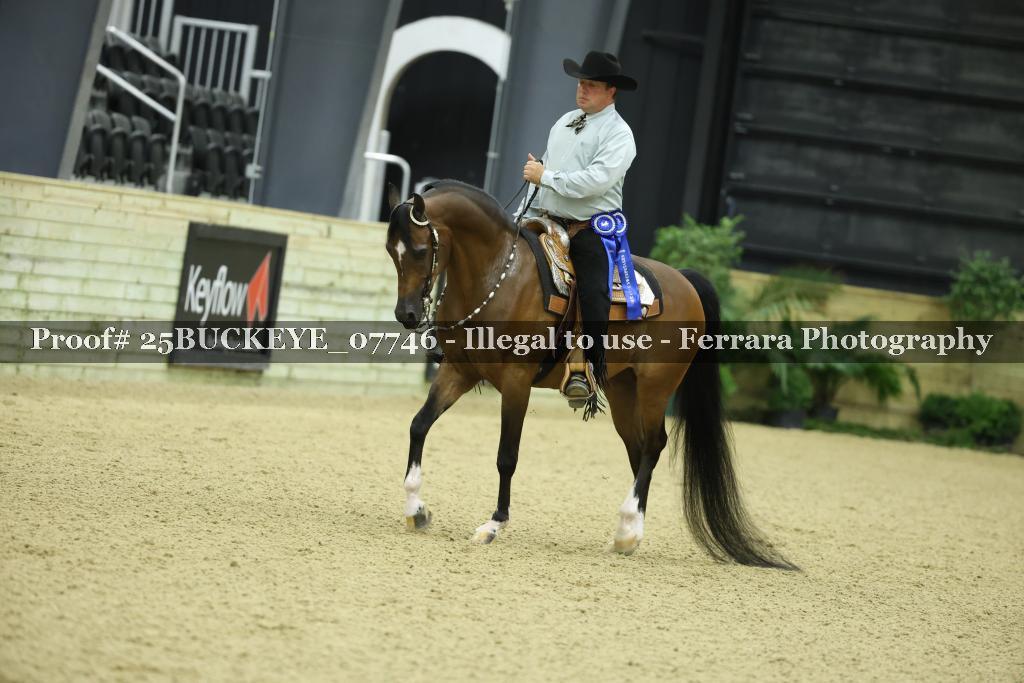 Proof Number 25BUCKEYE_07746