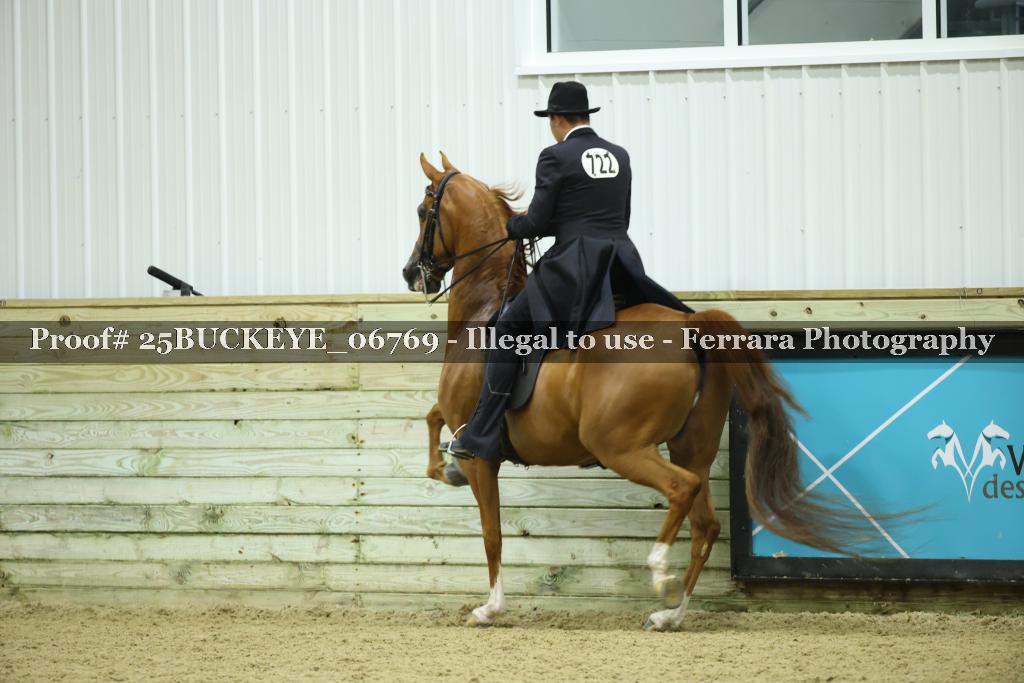 Proof Number 25BUCKEYE_06769