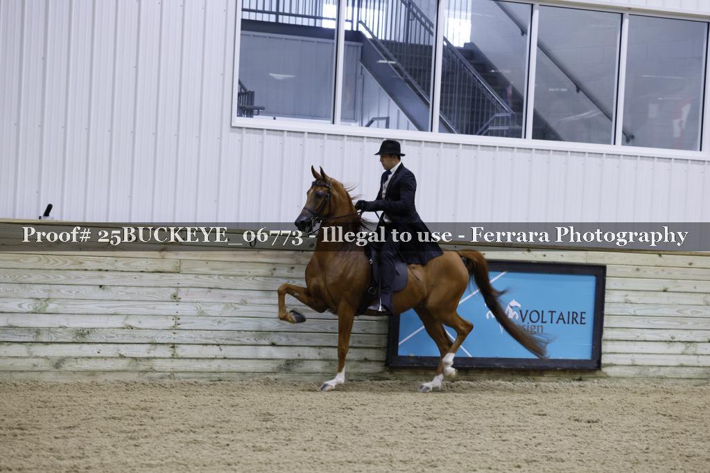Proof Number 25BUCKEYE_06773